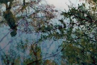 映画としての音楽