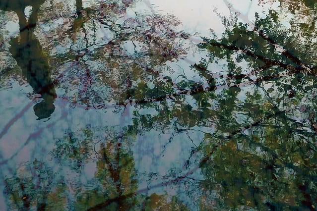 映画としての音楽