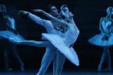 ボリショイ・バレエ in シネマ「白鳥の湖」（2015）