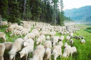 モンタナ 最後のカウボーイ