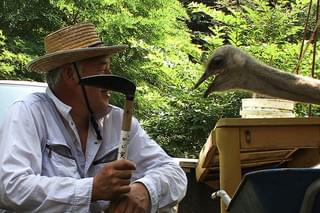 ナオトひとりっきり Alone in Fukushima