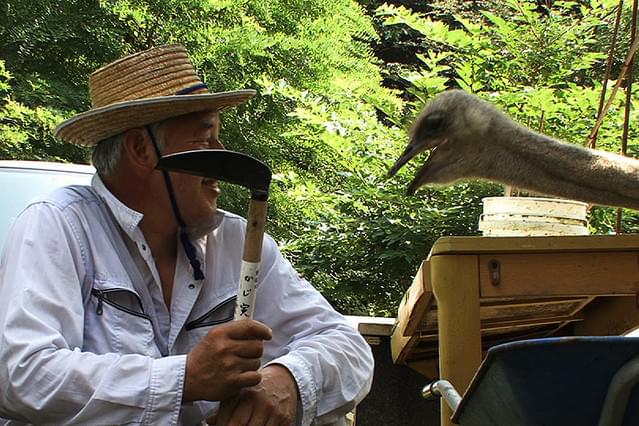 ナオトひとりっきり Alone in Fukushima
