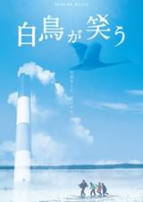 白鳥が笑う