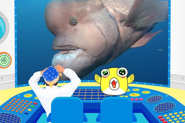 さかなクン研究所 さかなの世界へレッツギョー！ 飛ぶ！闘う！踊る！編