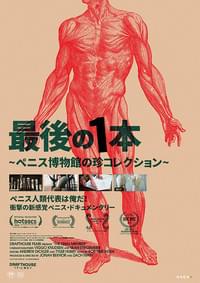 最後の1本 ペニス博物館の珍コレクション