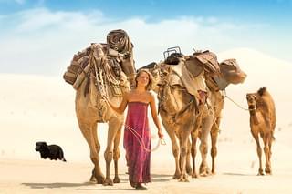 奇跡の2000マイルの予告編・動画