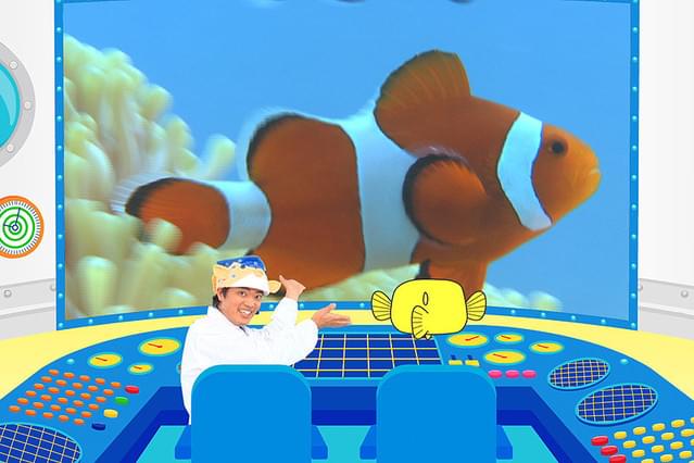 さかなクン研究所 すっギョイおさかな大集合！ ジャンプ！隠れる！世界最大！編