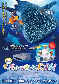 さかなクン研究所 すっギョイおさかな大集合！ ジャンプ！隠れる！世界最大！編