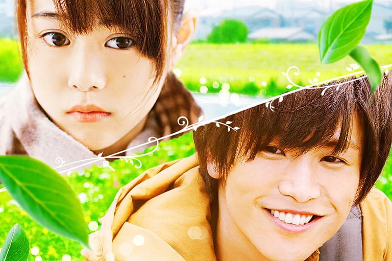 植物図鑑 運命の恋、ひろいました : 作品情報・キャスト・あらすじ