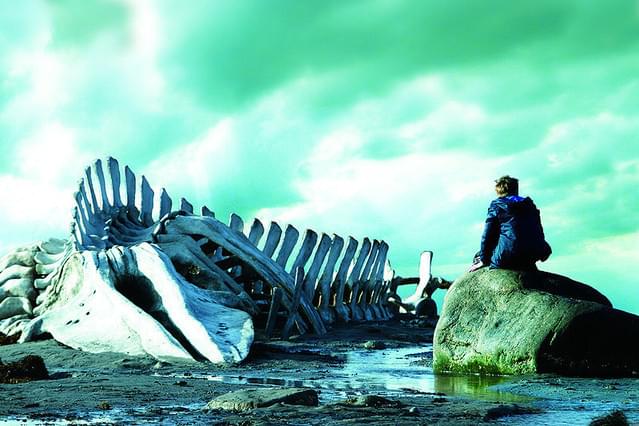 裁かれるは善人のみ