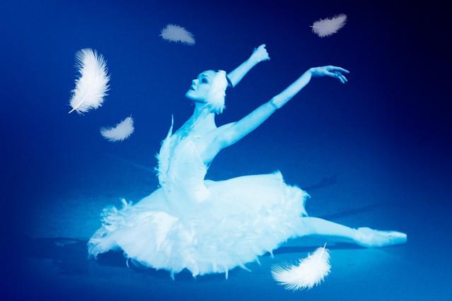 ロパートキナ 孤高の白鳥