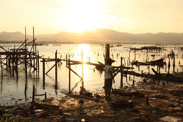 罠 被災地に生きる