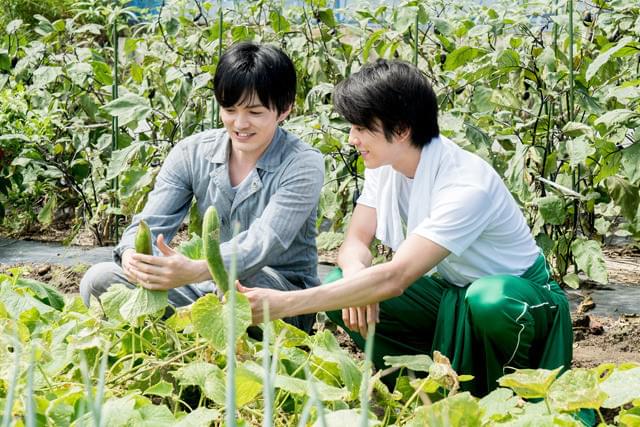 林遣都の「にがくてあまい」の画像