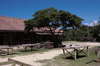 あめつちの日々