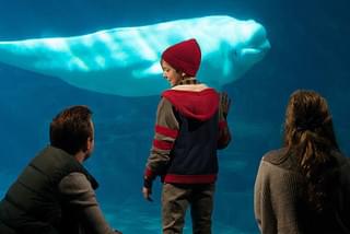 ルイの9番目の人生