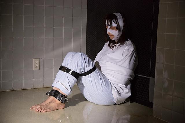 高橋メアリージュンの「シマウマ」の画像