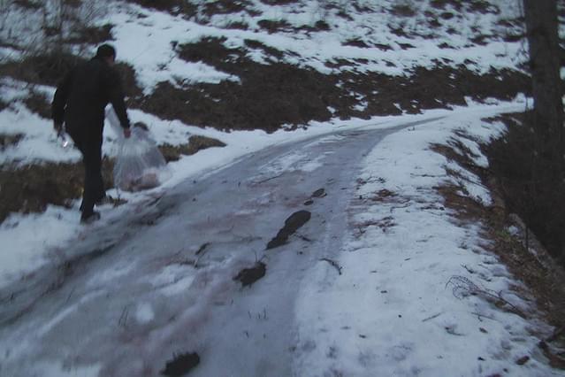 みえない汚染・飯舘村の動物たち