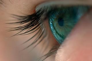 ボヤージュ・オブ・タイムの予告編・動画