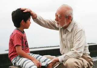 ゆずの葉ゆれて