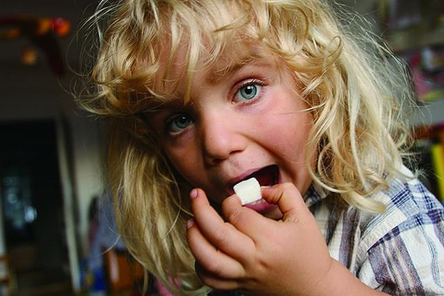 シュガー・ブルース 家族で砂糖をやめたわけ