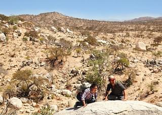 ノー・エスケープ 自由への国境