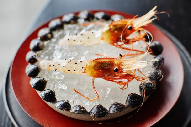 ★絶版未開封★NOMA ノーマ　北欧料理の時間と場所　英語オリジナル版 ☆絶版未開封☆NOMA ノーマ 北欧料理の時間と場所 英語オリジナル版