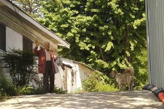 海へ 朴さんの手紙