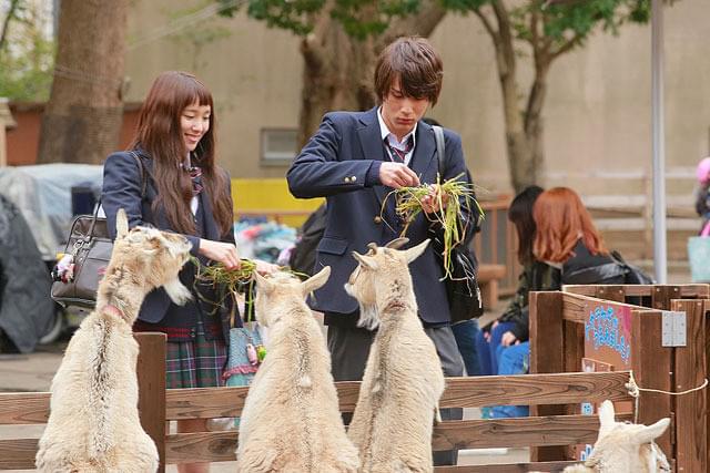 中川大志の「きょうのキラ君」の画像