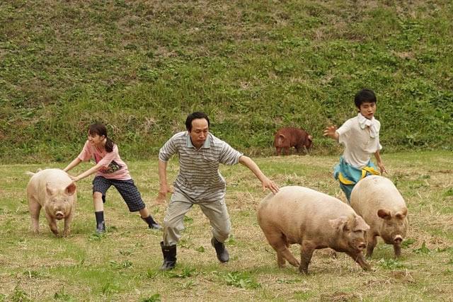 葵わかなの「サバイバルファミリー」の画像