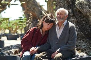 オリーブの樹は呼んでいる