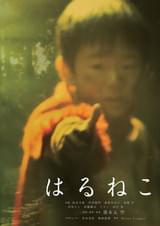 はるねこ