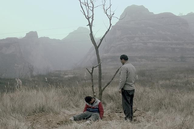 よみがえりの樹