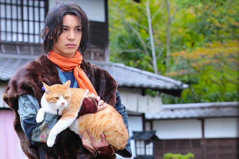 猫忍 : 作品情報・キャスト・あらすじ・動画 - 映画.com
