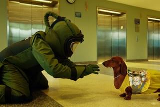 トッド・ソロンズの子犬物語の予告編・動画