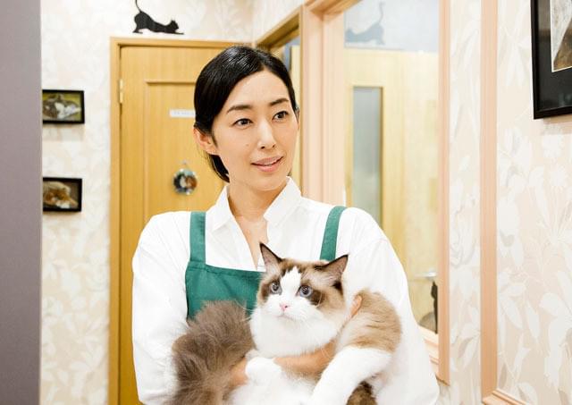 木村多江の「ねこあつめの家」の画像