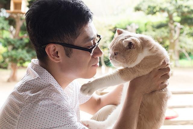 伊藤淳史の「ねこあつめの家」の画像