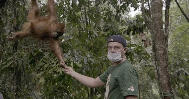 レオナルド・ディカプリオの「地球が壊れる前に」の画像