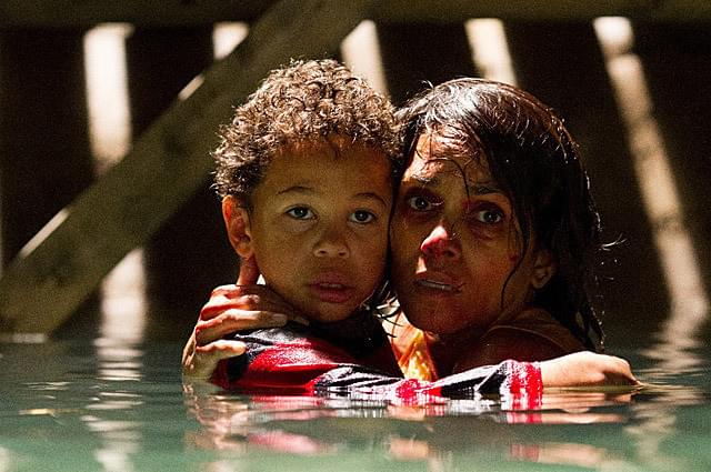ハル・ベリーの「チェイサー」の画像