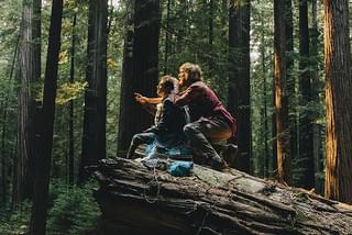 スイス・アーミー・マン