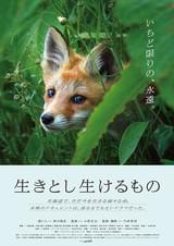 生きとし生けるもの