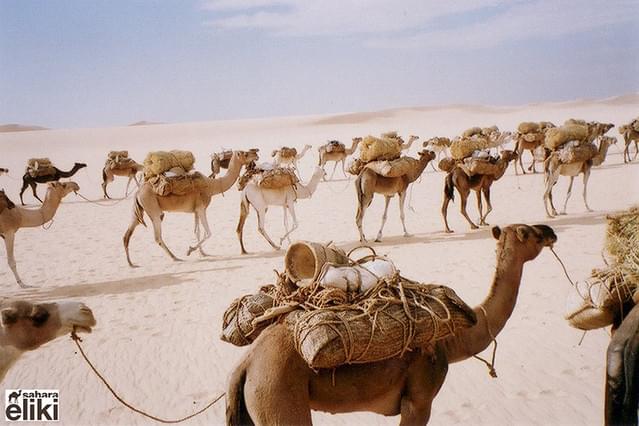 Caravan to the Future