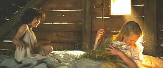 ハイジ アルプスの物語