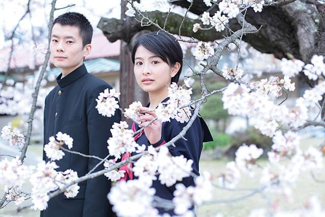 石崎なつみの「春なれや」の画像