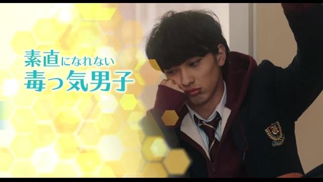 三咲渉バージョン映像