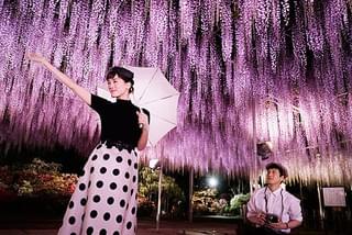 今夜、ロマンス劇場で