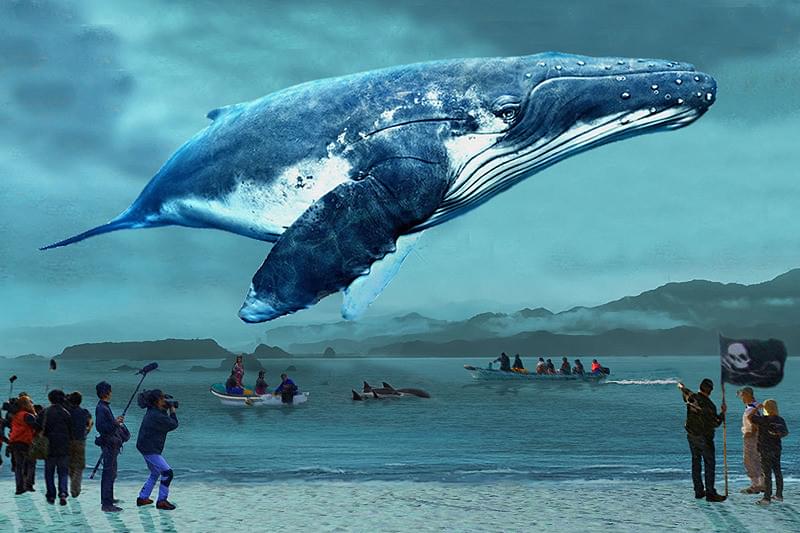 おクジラさま ふたつの正義の物語 : 作品情報・キャスト・あらすじ