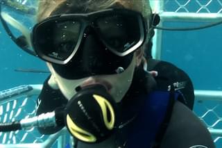 ケージ・ダイブ