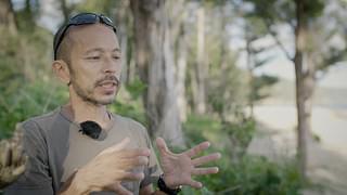 ZAN ジュゴンが姿を見せるとき