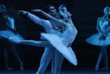 ボリショイ・バレエ in シネマ Season 2016-2017 「白鳥の湖」