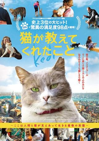 猫が教えてくれたこと : 作品情報・キャスト・あらすじ・動画 - 映画.com